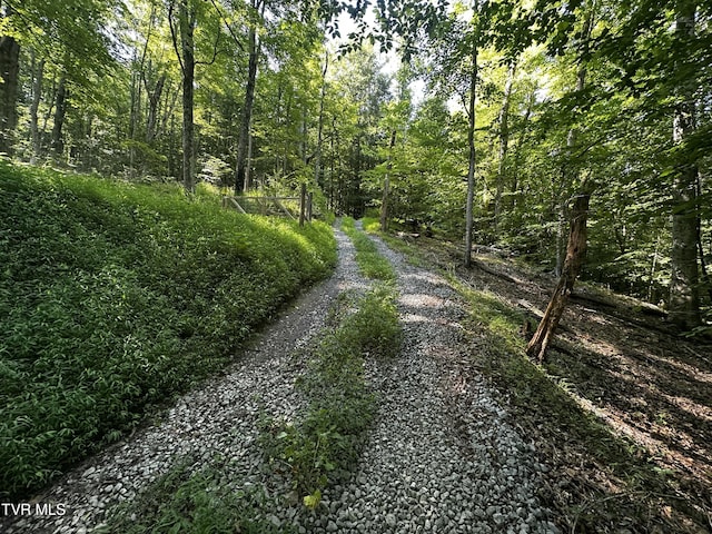 TBD Clinch Mountain Rd, Eidson, TN 37731 - photo 1
