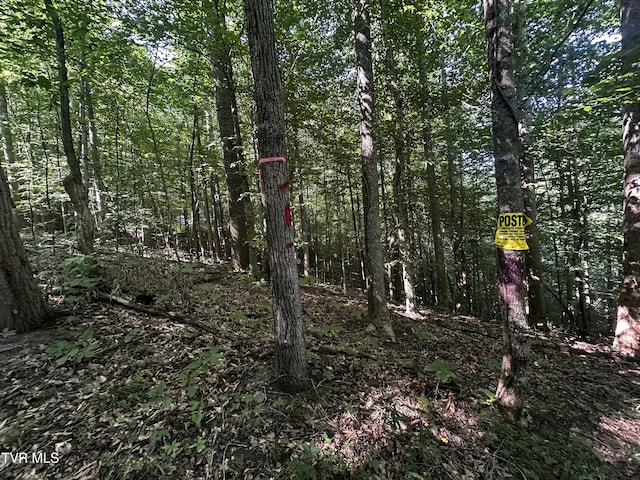 TBD Clinch Mountain Rd, Eidson, TN 37731 - photo 9