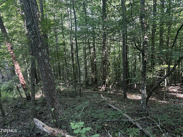 TBD Clinch Mountain Rd, Eidson, TN 37731 - photo 10
