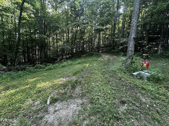 TBD Clinch Mountain Rd, Eidson, TN 37731 - photo 11