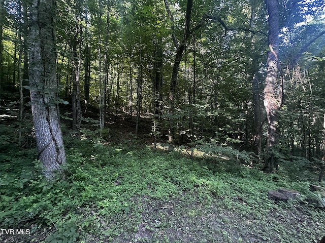 TBD Clinch Mountain Rd, Eidson, TN 37731 - photo 13