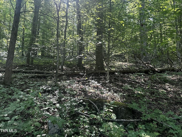 TBD Clinch Mountain Rd, Eidson, TN 37731 - photo 14
