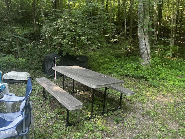 TBD Clinch Mountain Rd, Eidson, TN 37731 - photo 16