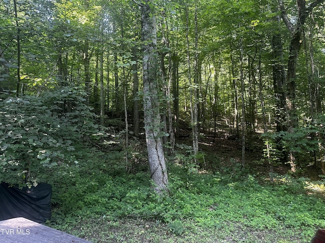 TBD Clinch Mountain Rd, Eidson, TN 37731 - photo 6