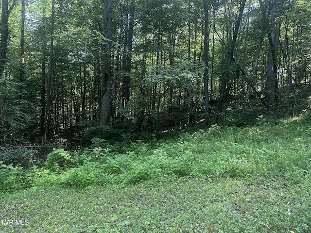 TBD Clinch Mountain Rd, Eidson, TN 37731 - photo 5
