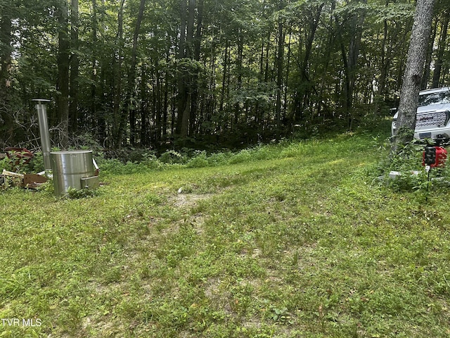 TBD Clinch Mountain Rd, Eidson, TN 37731 - photo 20