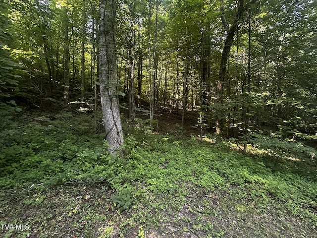 TBD Clinch Mountain Rd, Eidson, TN 37731 - photo 15