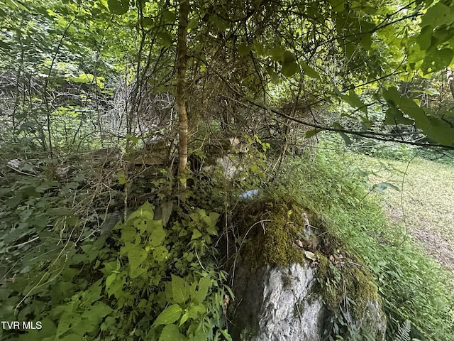 TBD Clinch Mountain Rd, Eidson, TN 37731 - photo 25