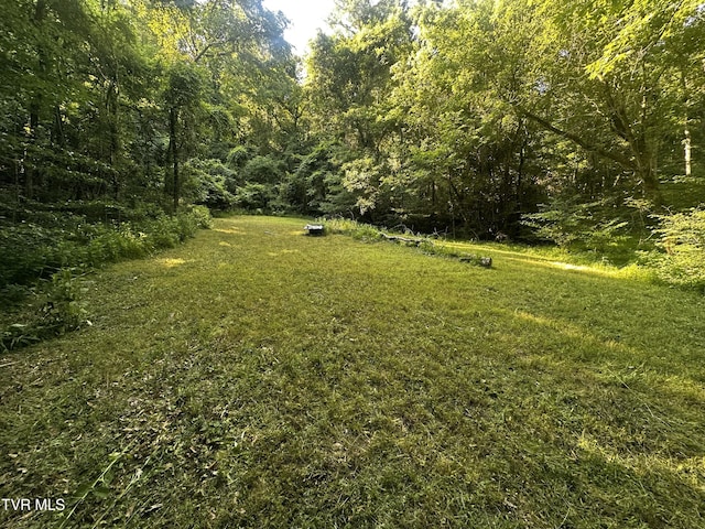 TBD Clinch Mountain Rd, Eidson, TN 37731 - photo 26