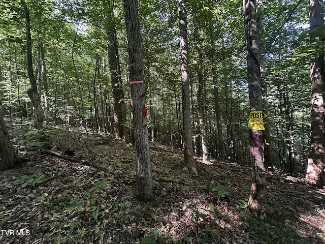 TBD Clinch Mountain Rd, Eidson, TN 37731 - photo 27