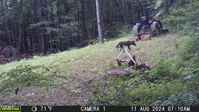 TBD Clinch Mountain Rd, Eidson, TN 37731 - photo 32