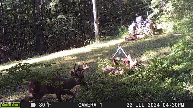 TBD Clinch Mountain Rd, Eidson, TN 37731 - photo 31