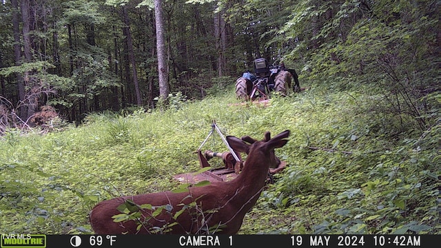 TBD Clinch Mountain Rd, Eidson, TN 37731 - photo 30