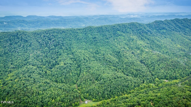 TBD Clinch Mountain Rd, Eidson, TN 37731 - photo 34