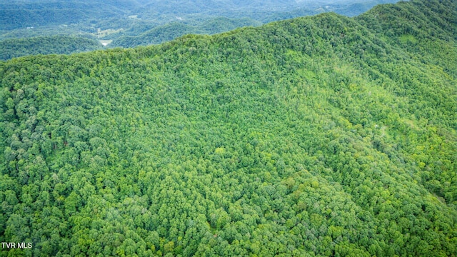TBD Clinch Mountain Rd, Eidson, TN 37731 - photo 35