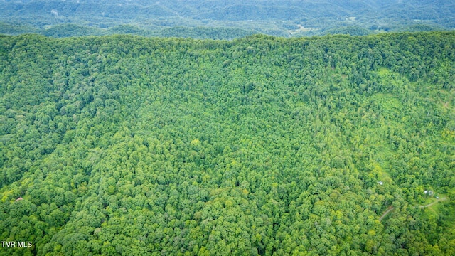 TBD Clinch Mountain Rd, Eidson, TN 37731 - photo 36