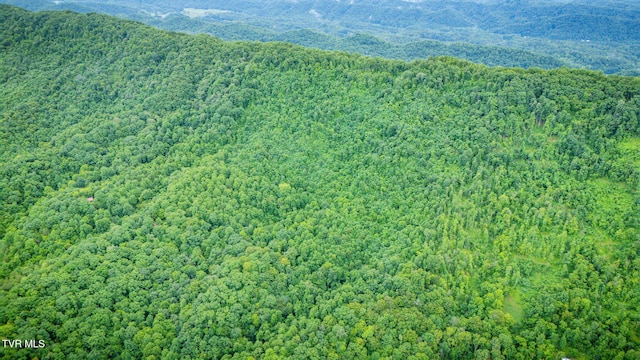 TBD Clinch Mountain Rd, Eidson, TN 37731 - photo 37
