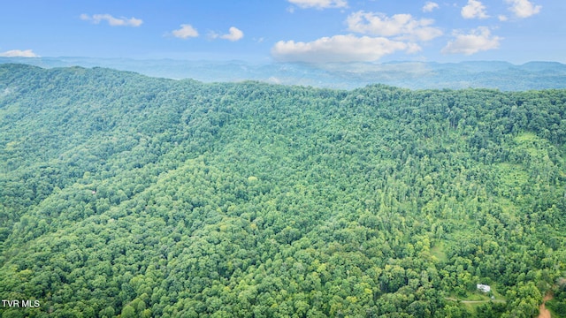 TBD Clinch Mountain Rd, Eidson, TN 37731 - photo 38