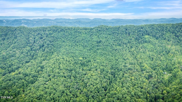 TBD Clinch Mountain Rd, Eidson, TN 37731 - photo 39