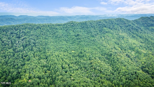 TBD Clinch Mountain Rd, Eidson, TN 37731 - photo 40