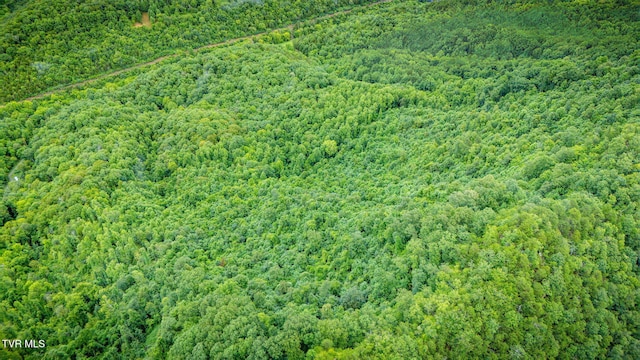 TBD Clinch Mountain Rd, Eidson, TN 37731 - photo 42