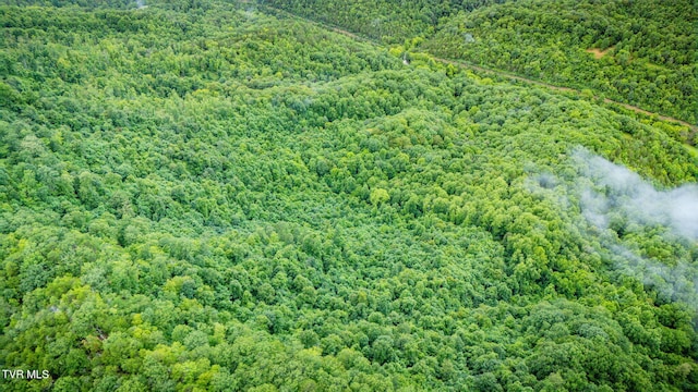 TBD Clinch Mountain Rd, Eidson, TN 37731 - photo 43