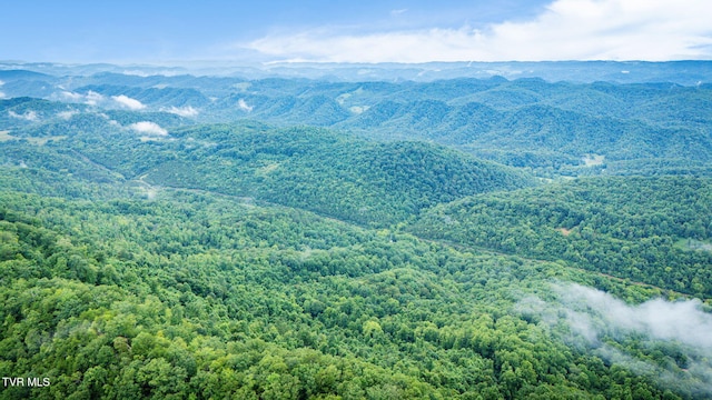 TBD Clinch Mountain Rd, Eidson, TN 37731 - photo 2