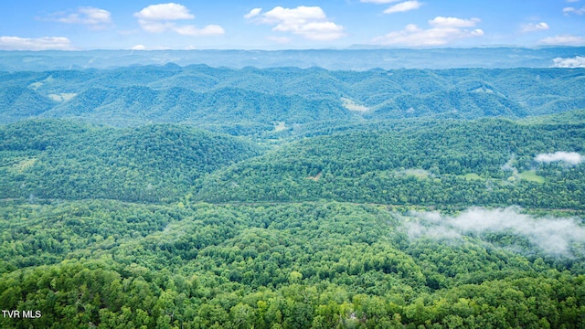 TBD Clinch Mountain Rd, Eidson, TN 37731 - photo 44