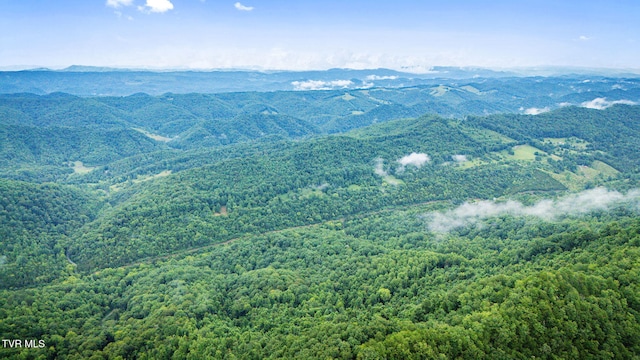 TBD Clinch Mountain Rd, Eidson, TN 37731 - photo 45