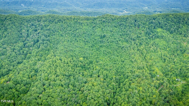 TBD Clinch Mountain Rd, Eidson, TN 37731 - photo 46