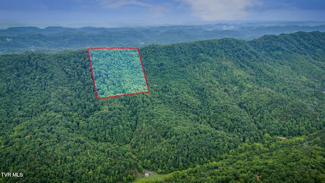 TBD Clinch Mountain Rd, Eidson, TN 37731 - photo 8