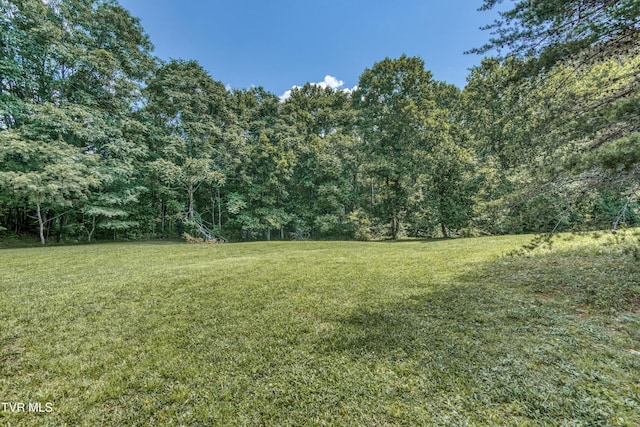 845 Whippoorwill Ln, Marion, VA 24354 - photo 28