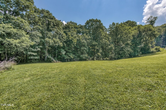 845 Whippoorwill Ln, Marion, VA 24354 - photo 29