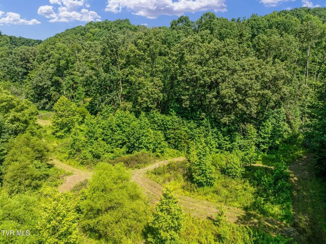 TBD Hermitage Ln, Mount Carmel, TN 37645 - photo 3