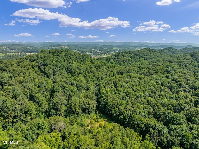 TBD Hermitage Ln, Mount Carmel, TN 37645 - photo 34