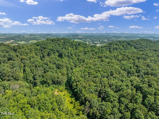 TBD Hermitage Ln, Mount Carmel, TN 37645 - photo 31