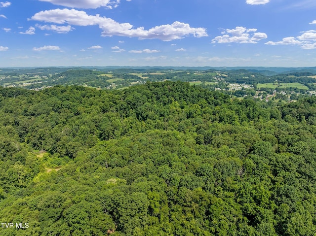 TBD Hermitage Ln, Mount Carmel, TN 37645 - photo 32