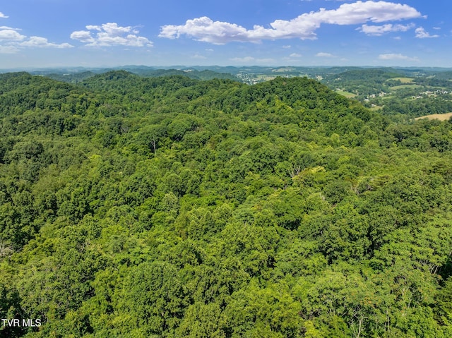 TBD Hermitage Ln, Mount Carmel, TN 37645 - photo 33