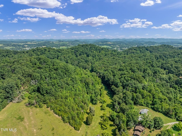 TBD Hermitage Ln, Mount Carmel, TN 37645 - photo 1