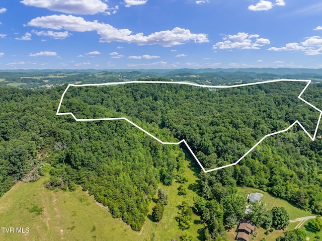 TBD Hermitage Ln, Mount Carmel, TN 37645 - photo 2