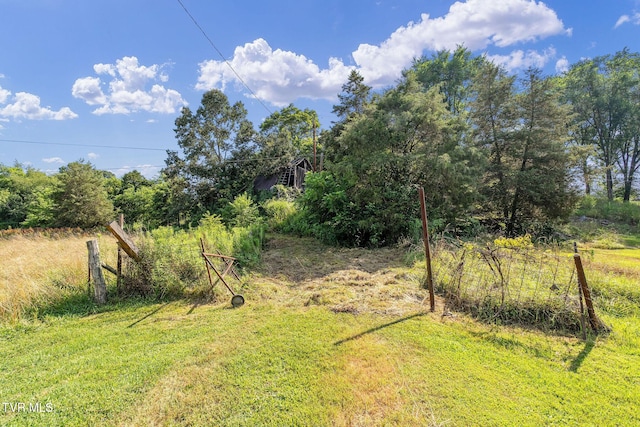 TBD Hermitage Ln, Mount Carmel, TN 37645 - photo 8