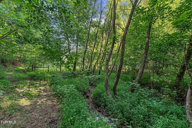 TBD Hermitage Ln, Mount Carmel, TN 37645 - photo 10