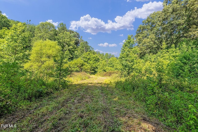 TBD Hermitage Ln, Mount Carmel, TN 37645 - photo 12