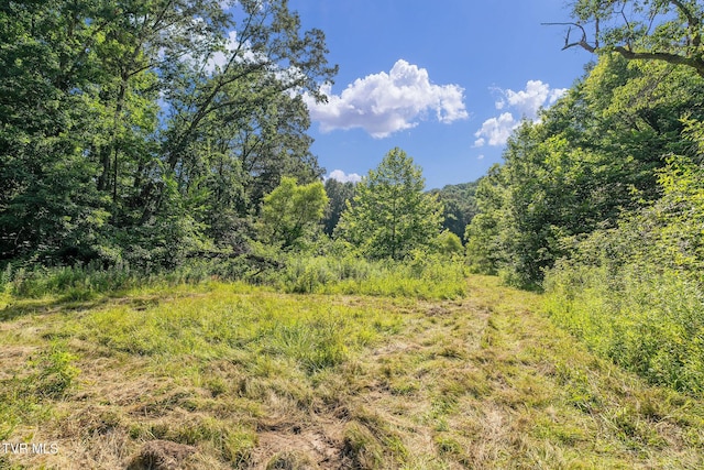 TBD Hermitage Ln, Mount Carmel, TN 37645 - photo 13