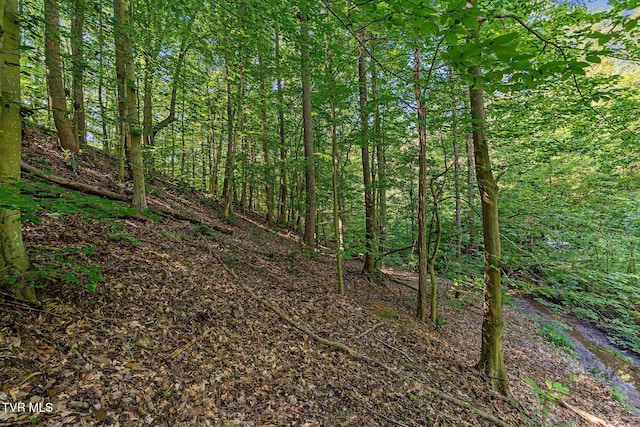 TBD Hermitage Ln, Mount Carmel, TN 37645 - photo 14