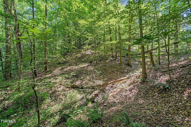TBD Hermitage Ln, Mount Carmel, TN 37645 - photo 15