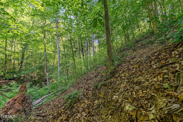 TBD Hermitage Ln, Mount Carmel, TN 37645 - photo 16
