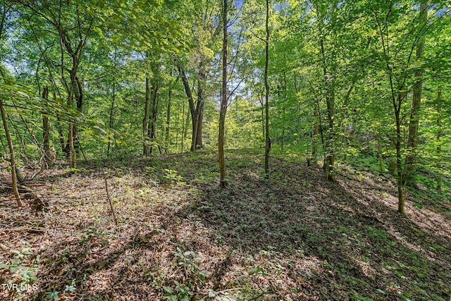 TBD Hermitage Ln, Mount Carmel, TN 37645 - photo 18