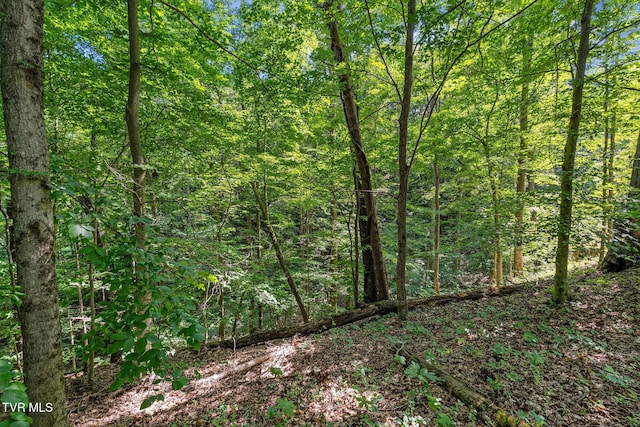 TBD Hermitage Ln, Mount Carmel, TN 37645 - photo 21