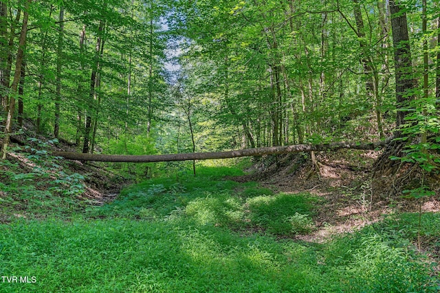 TBD Hermitage Ln, Mount Carmel, TN 37645 - photo 24